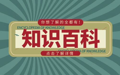 保皇游戏怎么玩？保皇规则是什么？